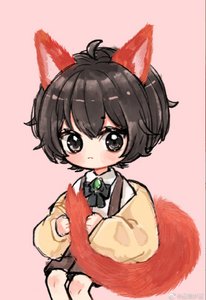 要来点软乎乎的小狐狸吗?